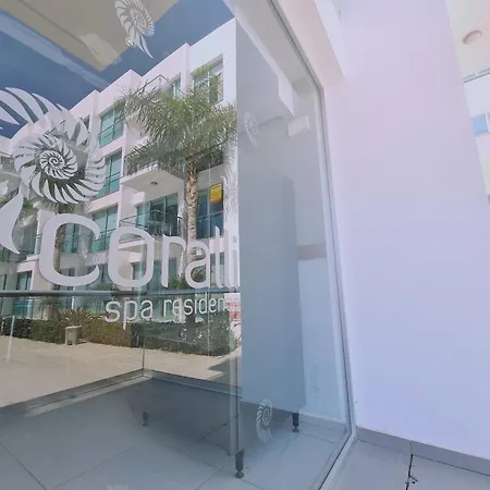 Coralli Privileges * Протарас