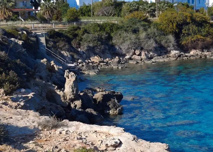 Coralli Privileges * 普罗塔拉斯