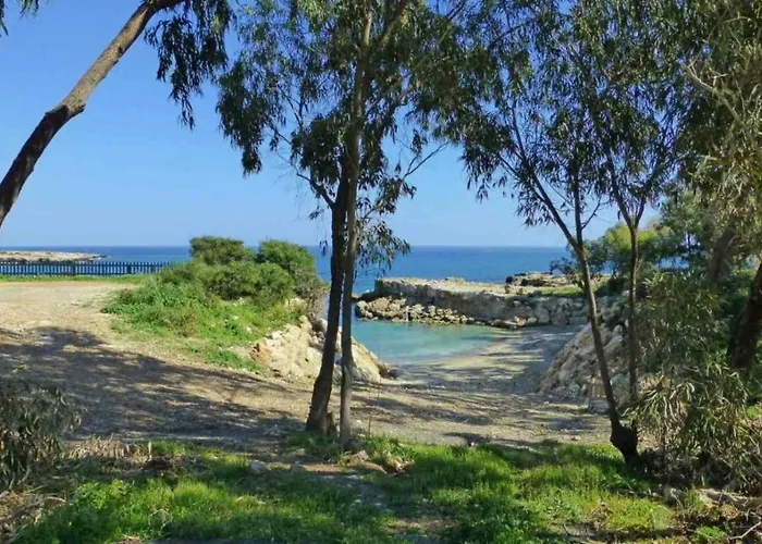 Daire Coralli Privileges